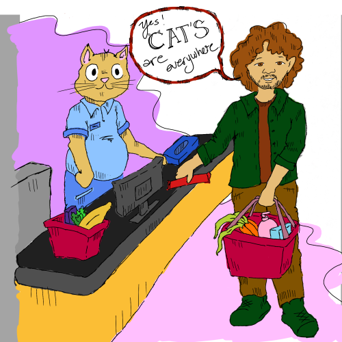 Cats Are Everywhere